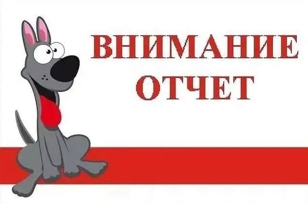 Картинка внимание отчет